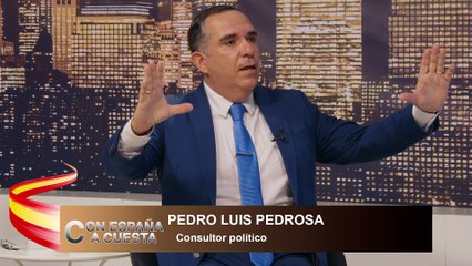PEDRO LUIS PEDROSA: todas estas leyes tienen muchas carencias por venir de una base falsa