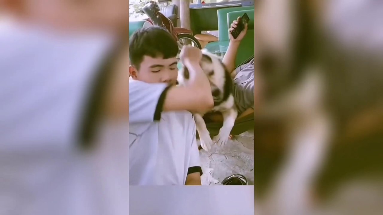 Funny Animal Videos 2022  - Funniest Cats And Dogs Videos Ep 1