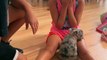 Girl Sobs When Parents Surprise Her With French Bulldog Puppy For Her Birthday