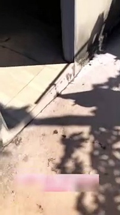 Plump Pants Spin Around in Washer