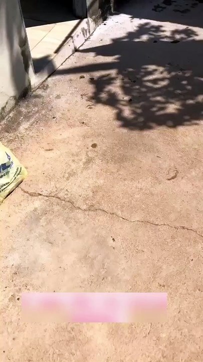 Plump Pants Spin Around in Washer