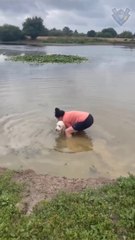 Incredibly hilarious animal moments | Animals never fail to make us laugh