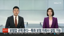 보험업 규제 푼다…특화 보험 자회사 설립 가능