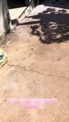 Plump Pants Spin Around in Washer