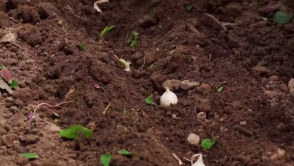 في خلقه شؤون الموسم الأول الحلقة 11