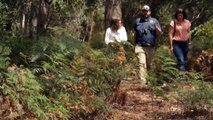 Untouched land on the Tasman Peninsula is set for ongoing protection after a massive community fundraiser