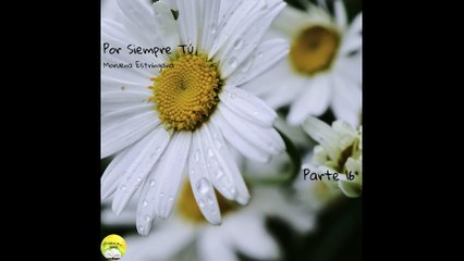 Por Siempre Tú | Voz Humana | Parte 16