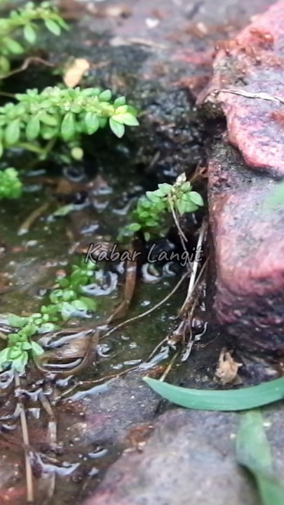 Never Give Up In Praying