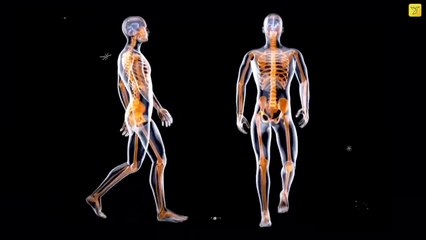 शरीर से जुड़े ये फैक्ट आपके होश उड़ा देंगे _ Amazing Facts About the Human Body _ right 2 Fact