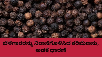 ಕೊಡಗು: ಇಳಿಕೆಯಾದ ಕರಿಮೆಣಸು, ಅಡಕೆ ಧಾರಣೆ ಹೀಗಿದೆ ನೋಡಿ..!