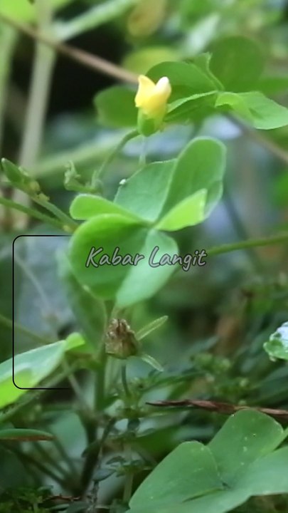 Rich Not Because Many Wealth