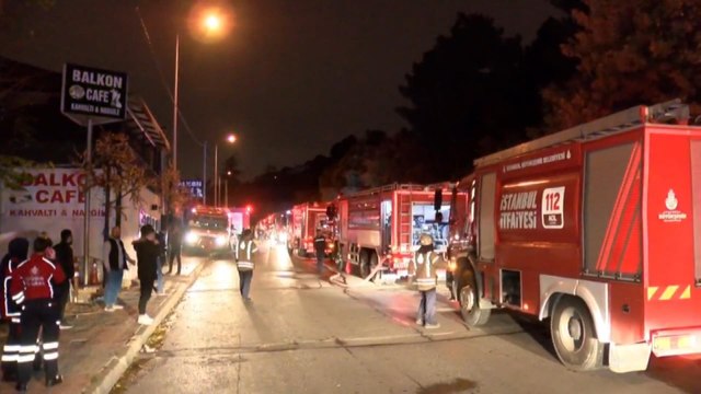 Pendik'te Aydos ormanında yangın