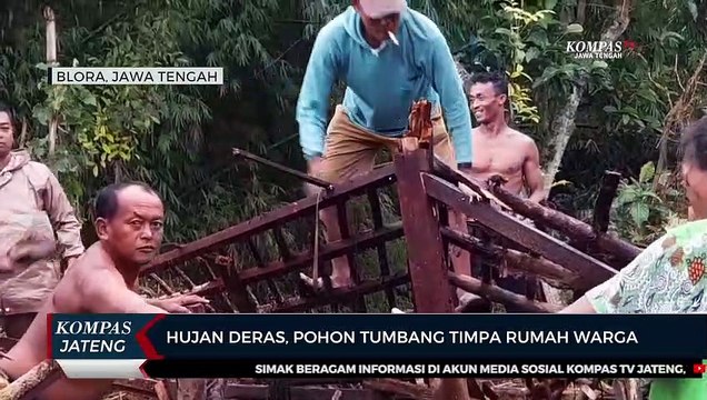 Hujan Deras, Pohon Tumbang Timpa Rumah Warga