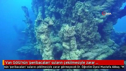 Van Gölü'nün 'peribacaları' suların çekilmesiyle zarar görmeyecek