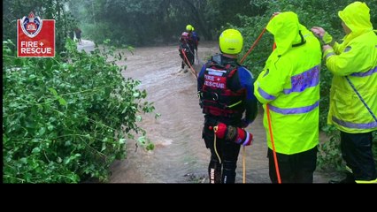 Strike Team Zulu | Illawarra Mercury | 21 November 2022