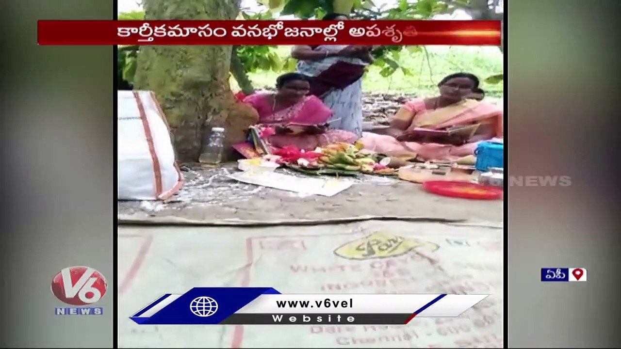 Honey Bees Attack On Women At Karthika Masam Va...
