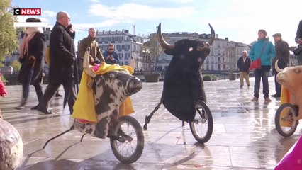 Corrida : 200 élus signent une tribune dans le JDD pour empêcher son interdiction