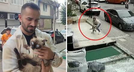 3. kattan düşen kediyi havada yakaladı