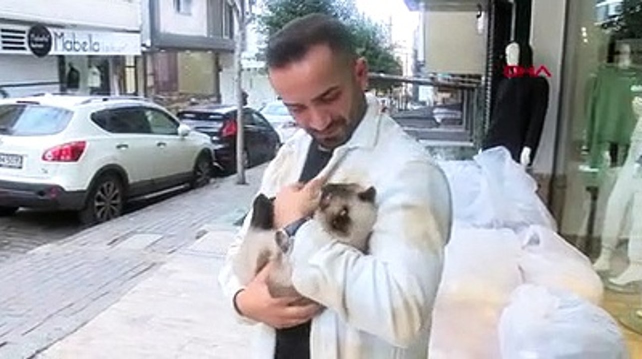 3. kattan düşen kediyi havada yakaladı
