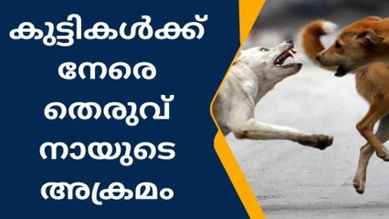 വീടിനുള്ളില്‍ കളിച്ചുകൊണ്ടിരുന്ന കുട്ടികള്‍ക്ക് നേരെ തെരുവ്നായ ആക്രമണം