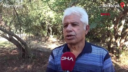 Akdeniz foku yavrularına 'mağara turu' tehdidi