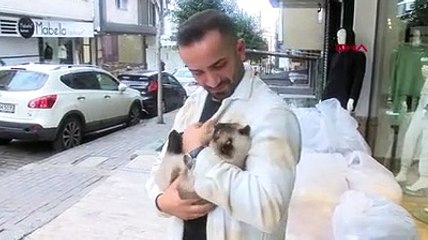 3'üncü kattan düşen kediyi havada yakaladı