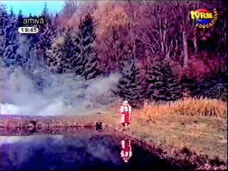 Angela Buciu  - Codrule cu frunza lunga