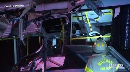 Bus contro albero: morto uno studente universitario nel Massachusetts