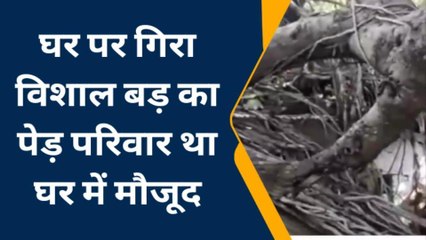 धार : विशाल बड़ का पेड़ मकान पर गिरा ,परिवारजन घर में मौजूद,फिर जो हुआ