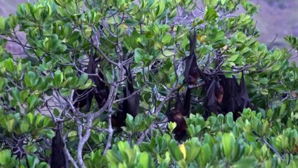 Komodo National Park, Indonesia