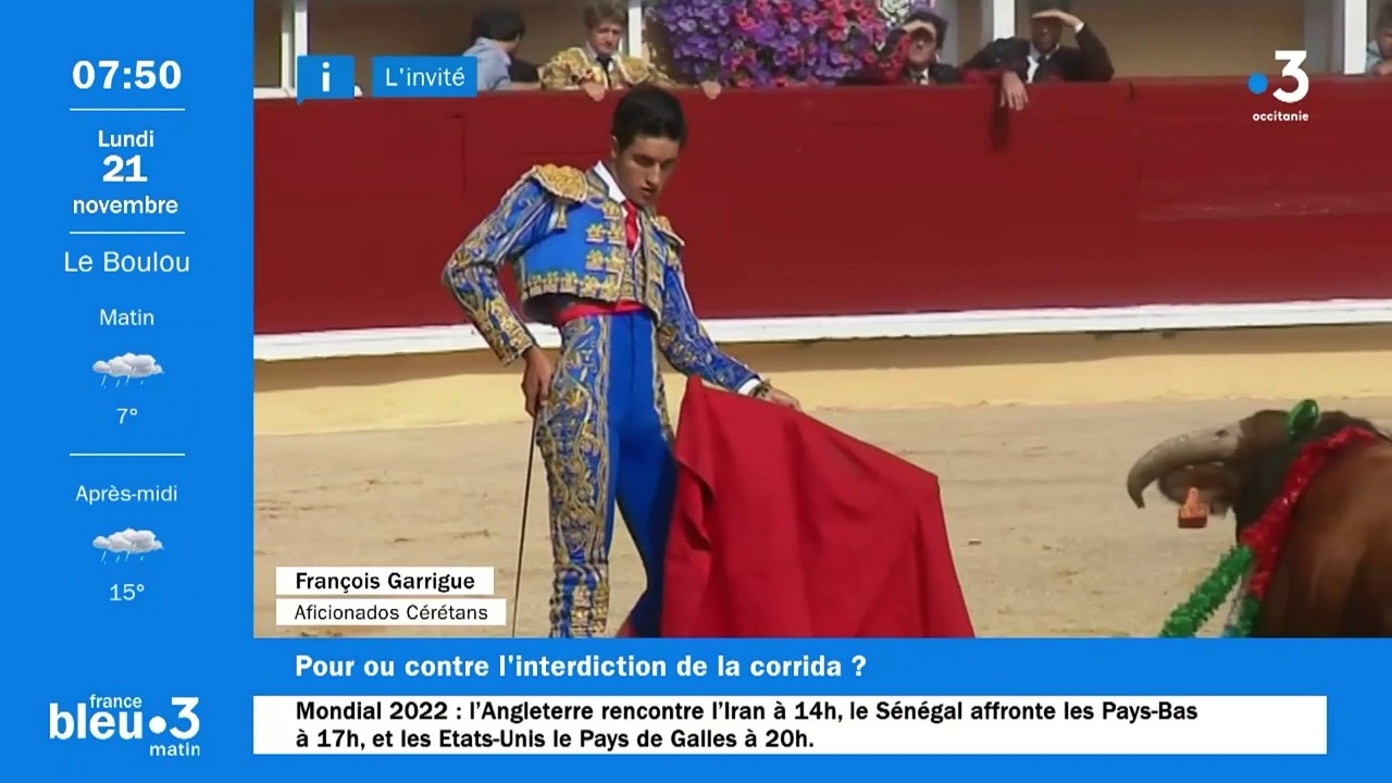 VIDÉOS - La corrida, un "art" ou une "boucherie" ? Les pro et les anti s'opposent dans les Pyrénées-Orientales