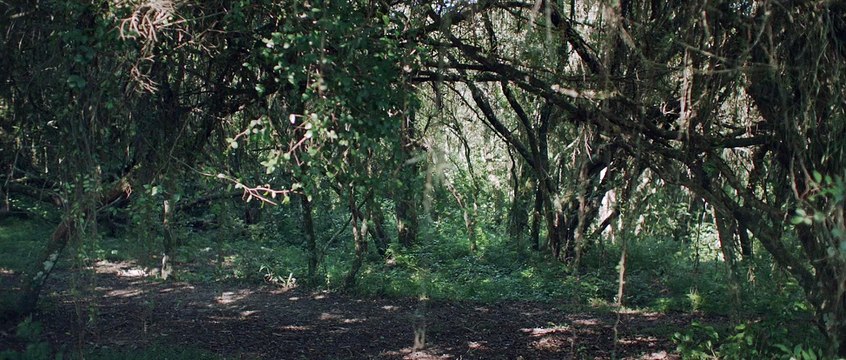 Despedida Bande-annonce VF