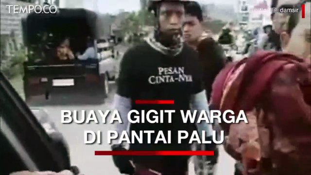Video Viral Pria Digigit Buaya di Palu, Tangan Hampir Putus
