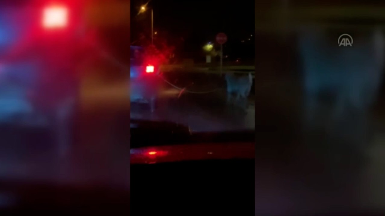 İple bağladığı köpeği seyir halindeki aracıyla çeken sürücüye ceza