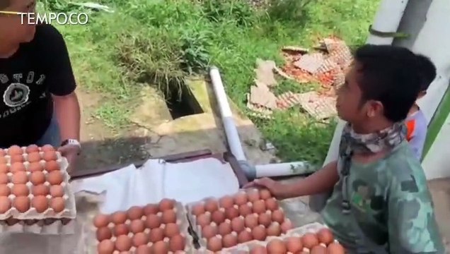 Viral Peternak Telur di Magetan Lempar Telur, Lalu Minta Maaf