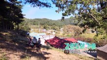 한국기행 - Korea travel_강원도의 가을 1부- 심심산골, 이 맛에 사네_#001