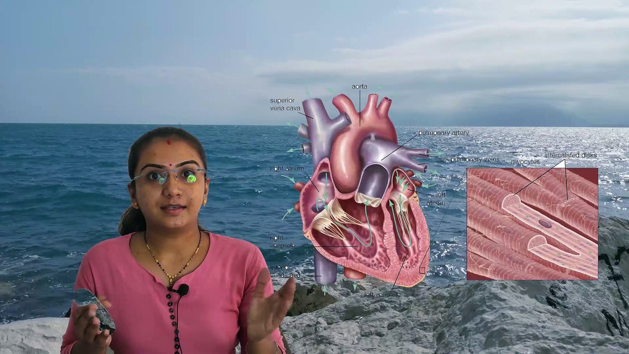 ❤️ હદય અને હદયના ધબકારા  दिल और दिल की धड़कन    Heart and beating of heart by Priyanka madam.