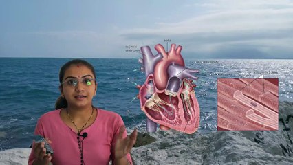 ❤️ હદય અને હદયના ધબકારા  दिल और दिल की धड़कन    Heart and beating of heart by Priyanka madam.