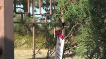 Familiares de los soldados rusos fallecidos plantan árboles en su memoria