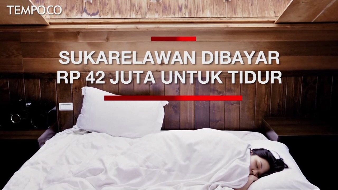 Perusahaan Pengulas Kasur Ini Rela Bayar Orang Rp 42 Juta untuk Tidur