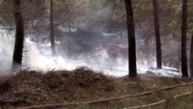 Sultangazi'de çalılık alanda yeniden yangın çıktı