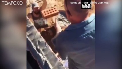 Video Viral Tingkah Nyeleneh Pekerja Bangunan, dari Aksi Spiderman hingga Diusili Teman