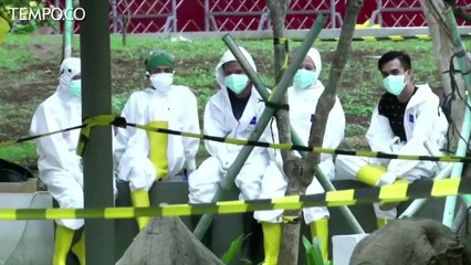 Tempat Tidur di Wisma Atlet Hampir Terisi 5.000 Pasien Covid-19