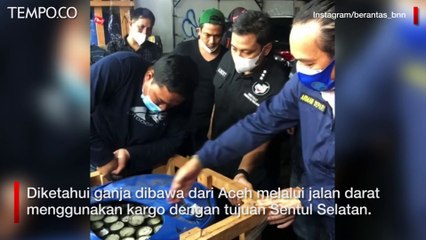450 Kg Ganja Dikemas Mirip Lemang Disita BNN dari Parung Bogor