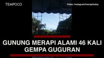 Kondisi Terkini Gunung Merapi, Alami 46 Kali Gempa Guguran