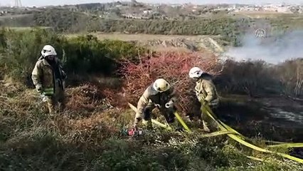 İstanbul'da ağaçlık alanda yangın