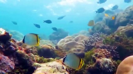 Transformasi Ekonomi Hijau Menggapai Visi 2045 Di Era Covid 19