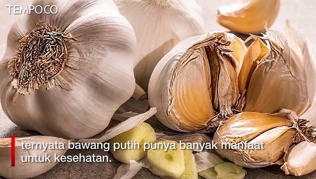 Manfaat Bawang Putih, dari Kurangi Kolesterol Hingga Obat Anti Stres
