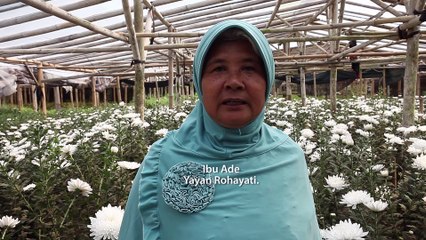 Embed Media Lab | Testimoni Nina 2