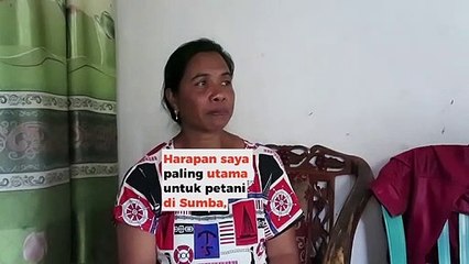 Embed Media Lab | Wawancara Wilhelmina